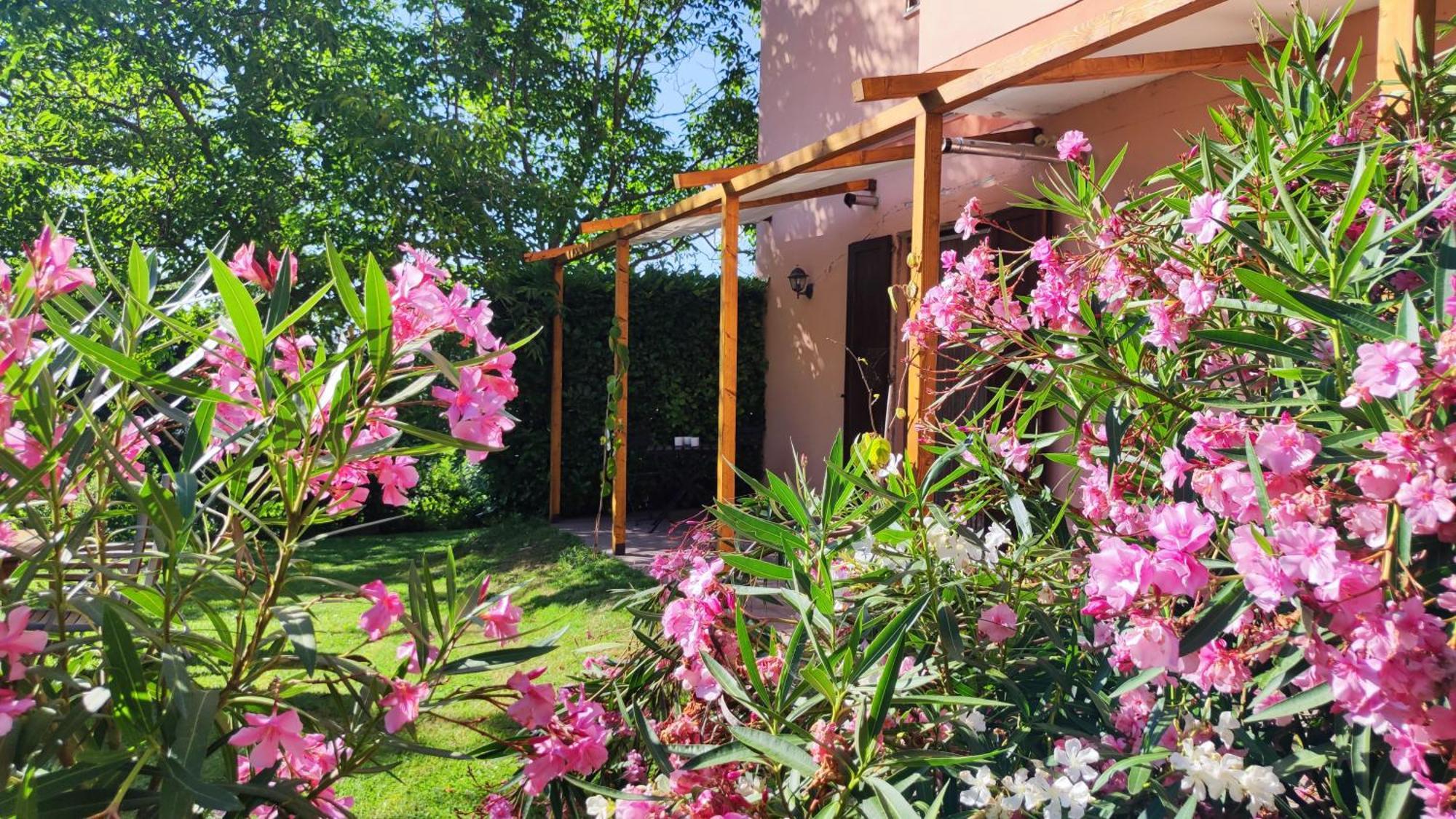 Camping Le Marche Apartments Gualdo di Macerata Ngoại thất bức ảnh