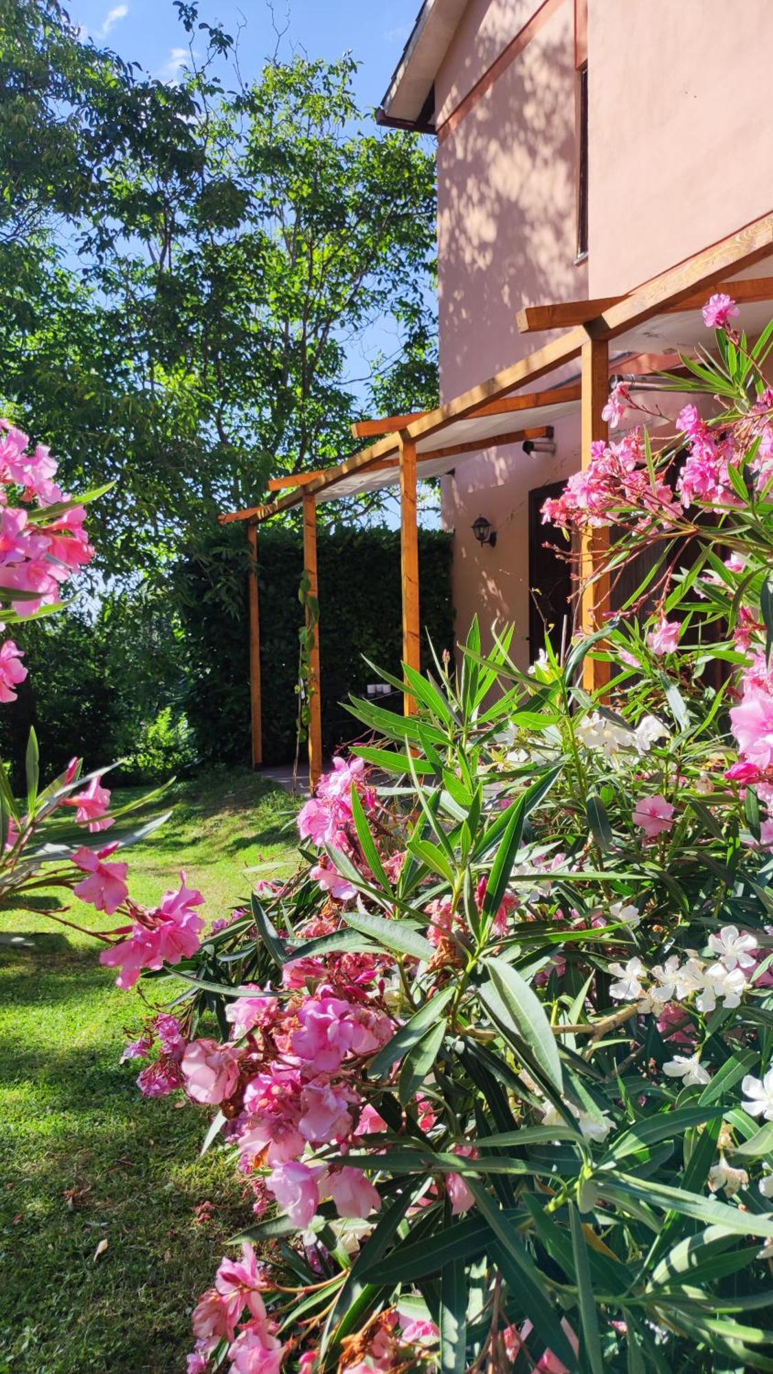 Camping Le Marche Apartments Gualdo di Macerata Ngoại thất bức ảnh